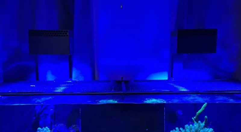 Red Sea ReefLED 90 light shade