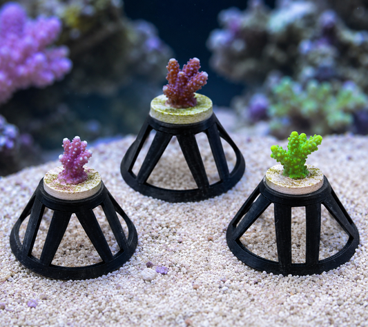 Reef - Safe Coral Frag Plug Stand – Pack of 3. - Vision3D
